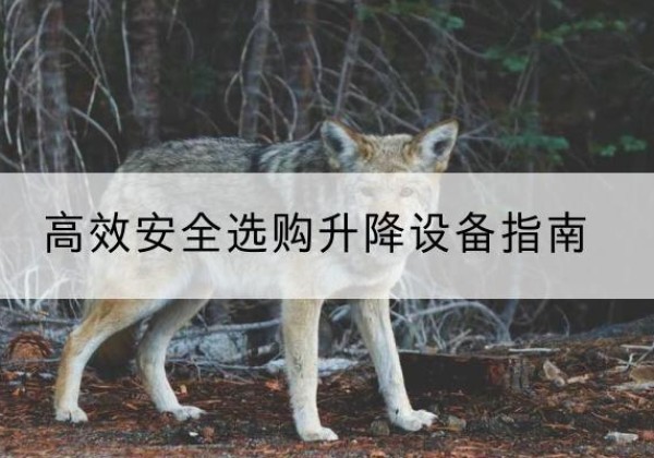 代县升降货梯厂家推荐-*安全选购升降设备指南
