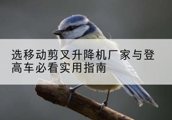 代县电动升降机厂家-选移动剪叉升降机厂家与登高车必看实用指南