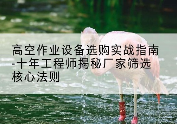 代县剪叉式升降机厂家-高空作业设备选购实战指南-十年工程师揭秘厂家筛选核心法则